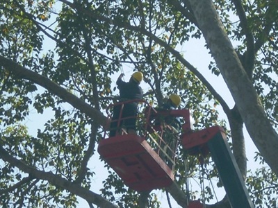 Còn lương “khủng” sẽ kỷ luật Giám đốc Sở Tài chính - 2 “Trên bảo, dưới không nghe”