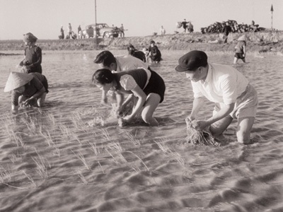 Đại tướng Nguyễn Chí Thanh: Lon nước, mo cơm lội khắp đồng