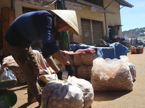 Dán băng keo bao bì