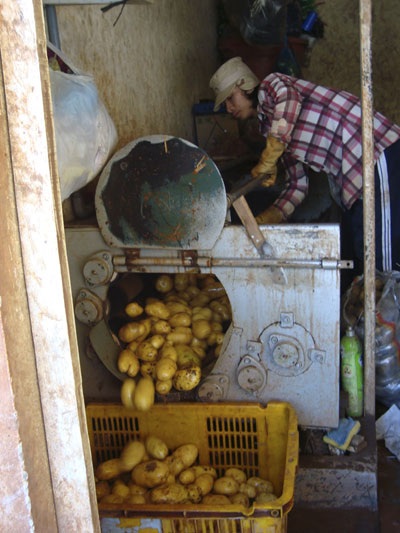 Khoai tây Trung Quốc nhập về được cho vào máy rửa sạch