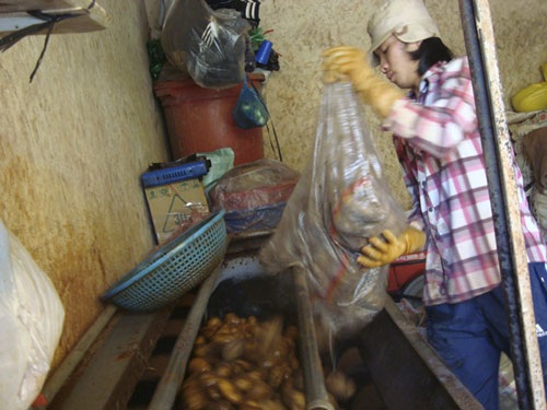 Khoai tây Trung Quốc nhập về được cho vào máy rửa sạch