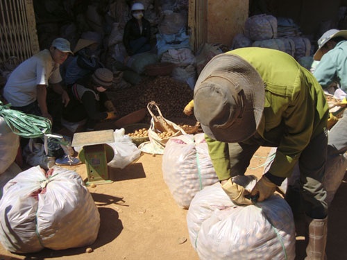 Cảnh “lao động khoai tây” ở chợ nông sản Đà Lạt thật nhộn nhịp