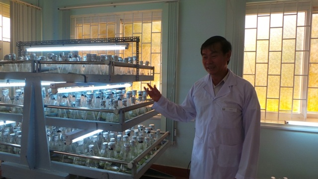 Mô hình mới tại Tây Nguyên: Trồng cà phê từ… lá - 4 Máy lắc đều liên tục cung cấp oxy -
dinh dưỡng cho mô phát triển