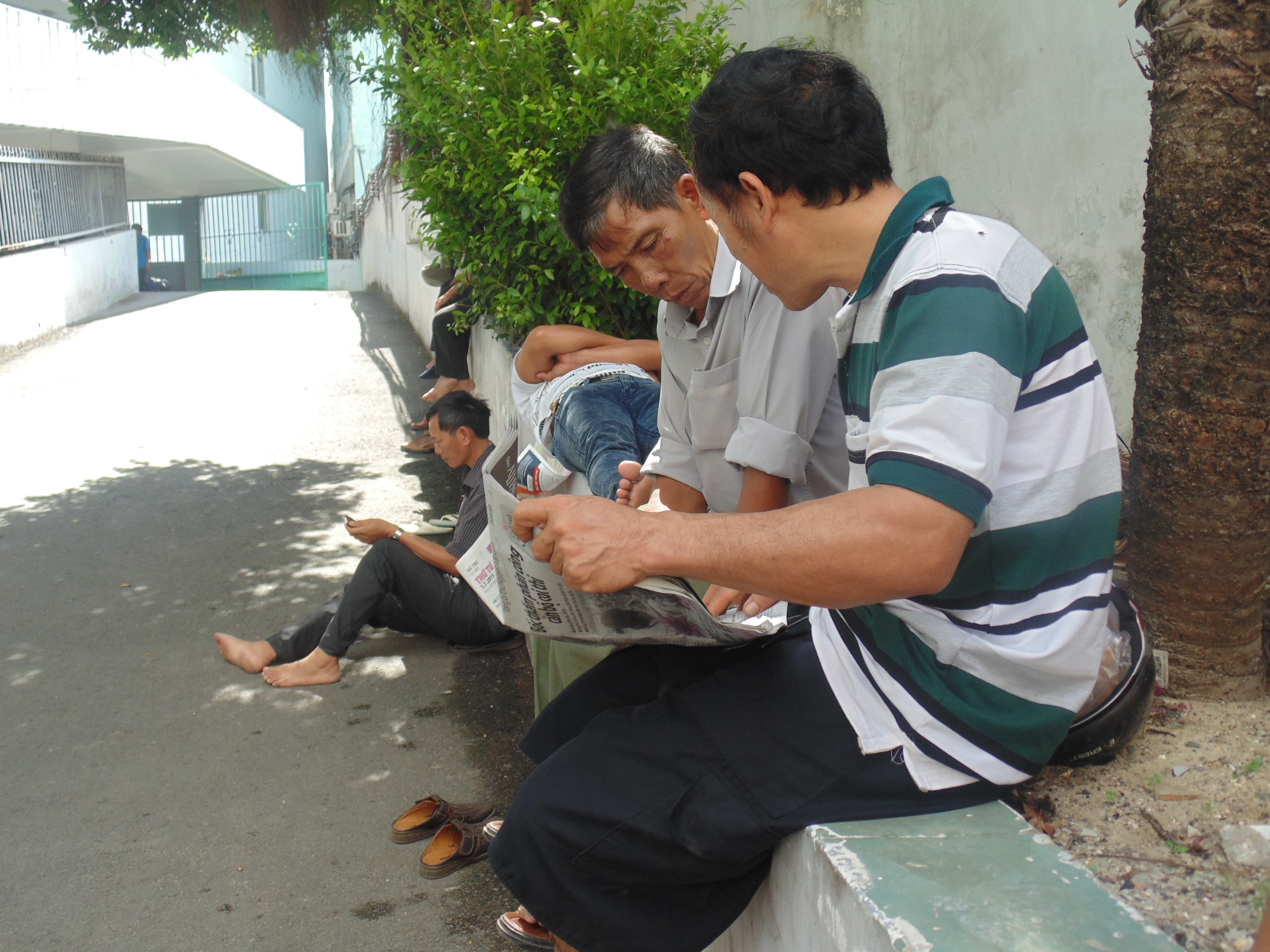 Gốc cây là nơi tránh nắng lý tưởng cho nhiều phụ huynh.