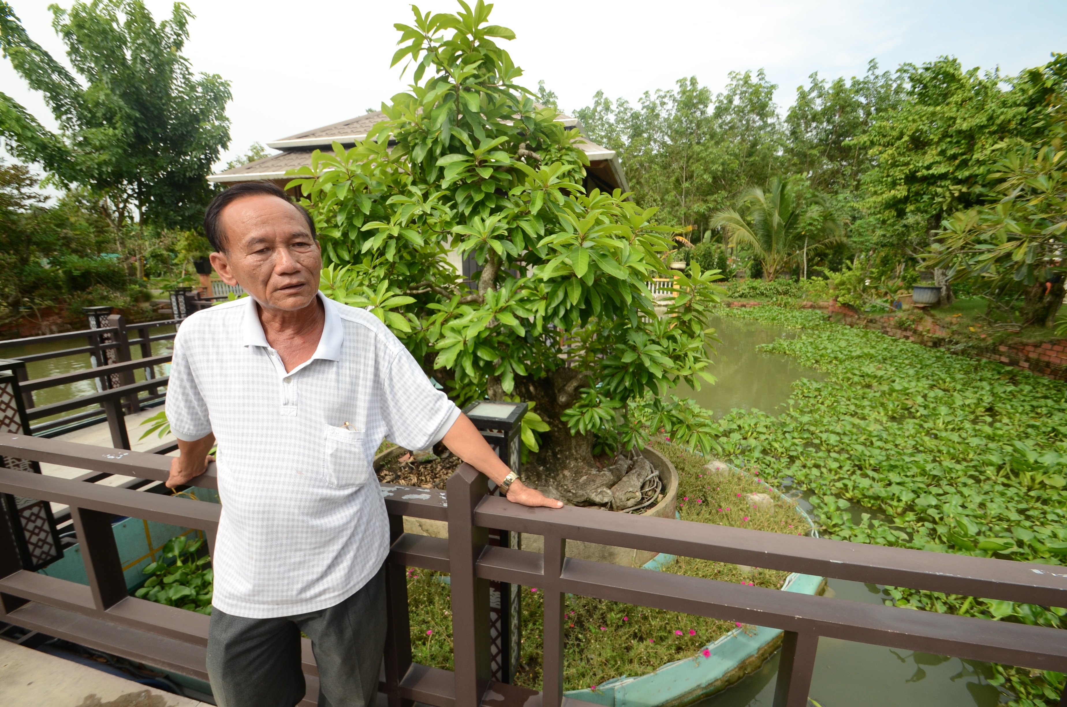 Cây lộc vừng sau lưng ông Phước nằm trong cái khung sắt và được kè bằng 6 thung
phi đẻ làm phao