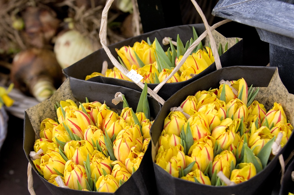 Du xuân châu Âu cùng Air France chỉ từ 16.665.000 VND