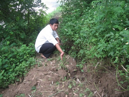 Dân hoang mang trước nguy cơ vỡ đê - 4