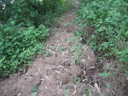 Dân hoang mang trước nguy cơ vỡ đê - 1