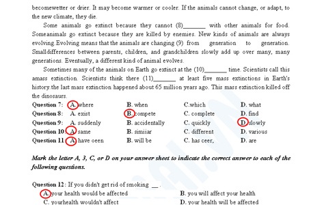 Gợi ý giải đề thi môn Anh văn tốt nghiệp THPT 2011 - 3