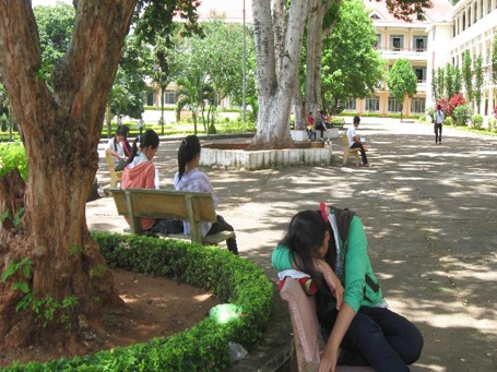 Sĩ tử trốn nắng dưới gốc cà phê - 15 Sĩ tử trốn nắng dưới gốc cà phê - 15