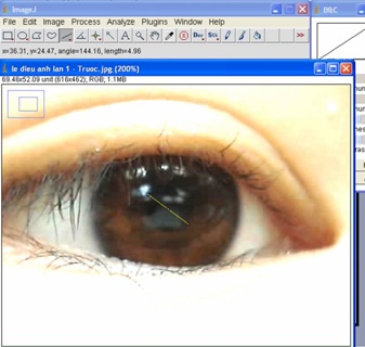 Giấy in sách trắng quá thì không tốt - 2