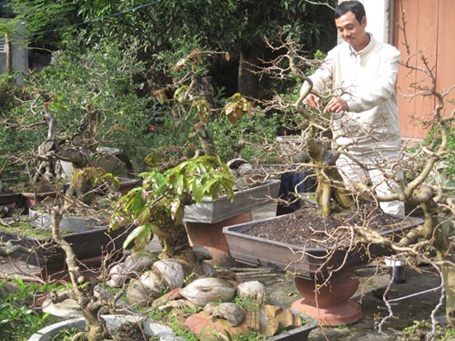 Nghề tay trái thu nhập cao của nhà giáo - 1 Nghề tay trái thu nhập cao của nhà giáo - 1