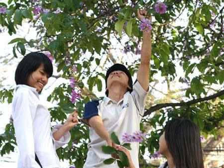 Tháng 5 và lớp 12 ngày ấy