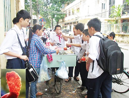 Giật mình... thịt hổ khô bán trước cổng trường - 1 Giật mình... thịt hổ khô trước cổng trường