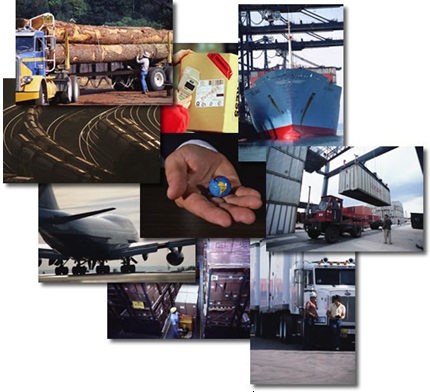 Ngành logistics: “Đỏ mắt” tìm nhân lực cấp cao - 1 Ngành logistics: “Đỏ mắt” tìm nhân lực cấp cao