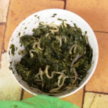 Lá sắn non nấu với mì tôm là món thường ngày của học sinh mầm non nơi đây.