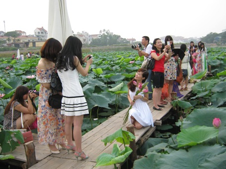 Giới trẻ Hà thành đi chụp ảnh hoa sen đông như hội - 6 Nếu không đến từ sáng sớm, rất khó để chọn một góc thoáng để chụp ảnh.