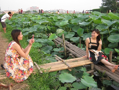 Giới trẻ Hà thành đi chụp ảnh hoa sen đông như hội - 11 Hai bạn gái này đi cùng và chụp ảnh cho nhau.