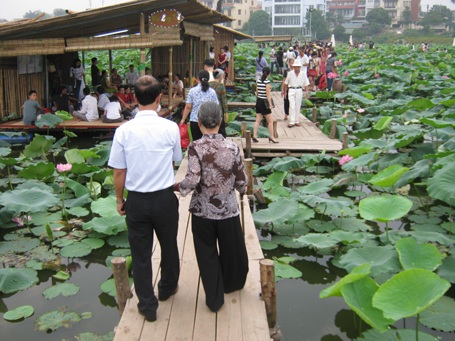 Giới trẻ Hà thành đi chụp ảnh hoa sen đông như hội - 7 Cuối tuần, con trai đưa mẹ đi thưởng hoa sen.