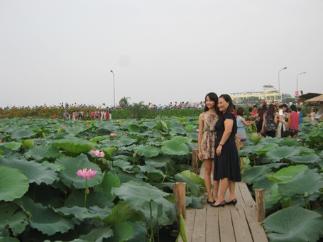 Giới trẻ Hà thành đi chụp ảnh hoa sen đông như hội - 8 Hai thế hệ cùng chụp ảnh kỷ niệm bên đầm sen.