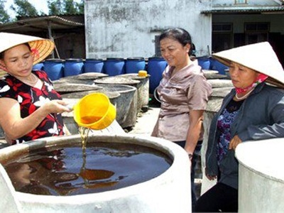 Bỏ học tiến sĩ về làm nước mắm - 2 Bà con làm mắm