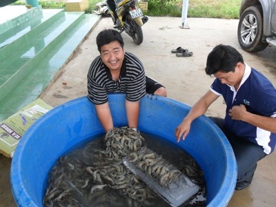Tiến sỹ trẻ say mê chữa bệnh cho tôm - 1 Tìm hiểu về tôm, cá là đam mê của Trần Hữu Lộc. (Ảnh: Thanh Tâm)