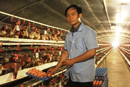 Bỏ suất du học Pháp về quê nuôi gà - 1 Bỏ chuyến du học để nuôi gà