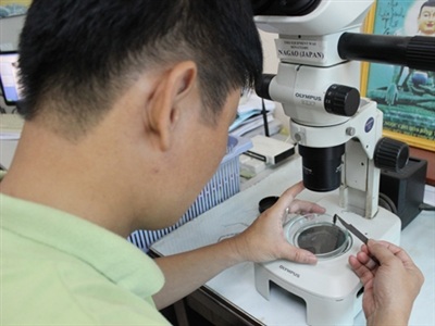 Hai bằng tiến sỹ, lương hơn hai triệu đồng - 1 Nhiều tiến sỹ ở Viện Hàn lâm Khoa học và Công nghệ Việt