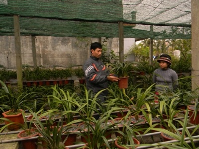 Nhiều người mê lan nghe tiếng đến thăm và học hỏi kinh nghiệm trồng lan từ anh Dũng.