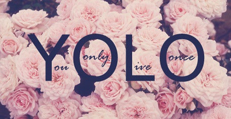 Xôn xao với đề văn nghị luận về “YOLO” - 2 Xôn xao với đề văn nghị luận về “YOLO”