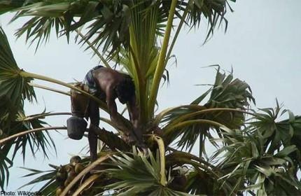 Những môn học lạ nhất thế giới - 4 Thế giới kỳ diệu của bong bóng – Viện Công nghệ California, Mỹ