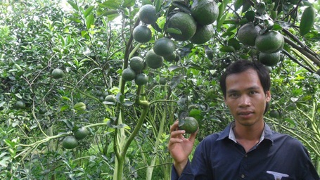 Tỷ phú cam sành xây dựng nông thôn mới - 1 Anh