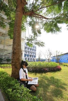 Thư gửi mẹ từ trường nội trú - 1 Thư gửi mẹ từ trường nội trú