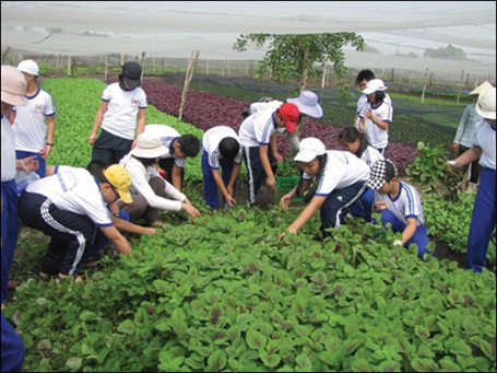 Những tiết học “cháy giáo án” - 1 Học sinh Trường tiểu học Nguyễn Bỉnh Khiêm (Q.1, TPHCM) học ngoài đồng ruộng