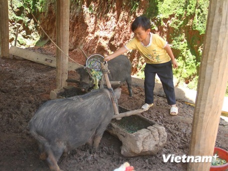 Chàng “khổng lồ” ở đỉnh Xéo Dì Hồ với ước mơ kỹ sư CNTT - 2 Chàng “khổng lồ” ở đỉnh Xéo Dì Hồ với ước mơ kỹ sư CNTT