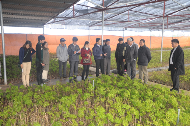 Giải pháp cho dược liệu Việt - Liên kết cùng phát triển?