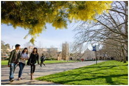 Sinh viên VN thành công từ chương trình dự bị Trinity College và Đại học Melbourne - 5 Bằng cấp danh giá và sự khác biệt