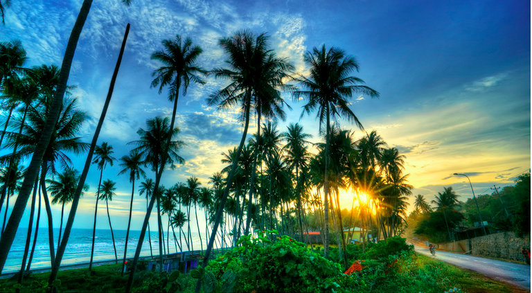 Book khách sạn từ những trang du lịch