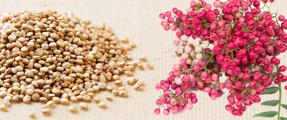 Kem bôi tan mỡ: Nên “chọn mặt gửi vàng” - 3 Hạt Quinoa và Tiêu hồng được chứng
minh giảm mỡ thừa hiệu quả