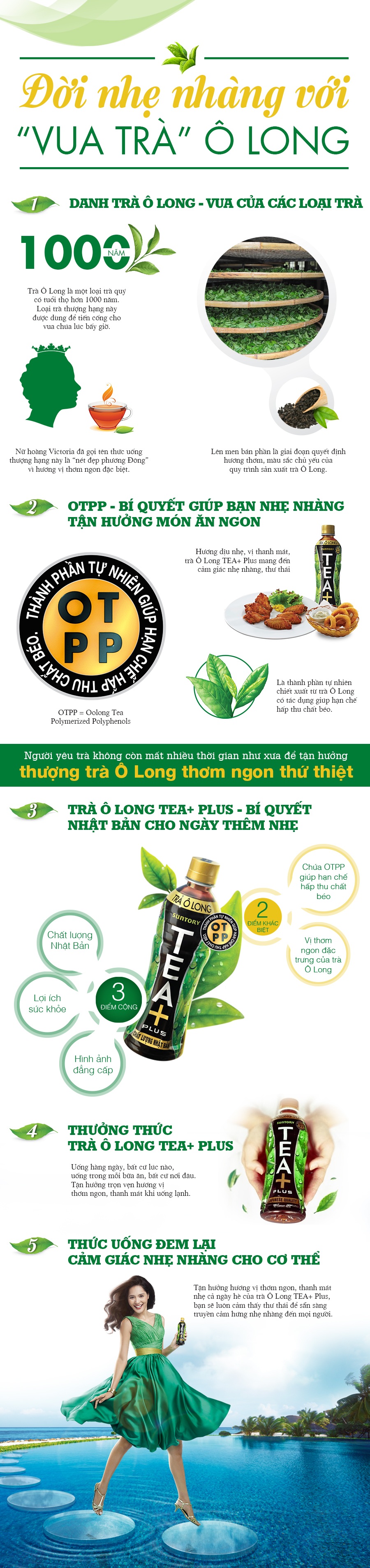 Đời nhẹ nhàng với “vua trà” Ô Long - 1 Đời nhẹ nhàng với “vua trà” Ô Long