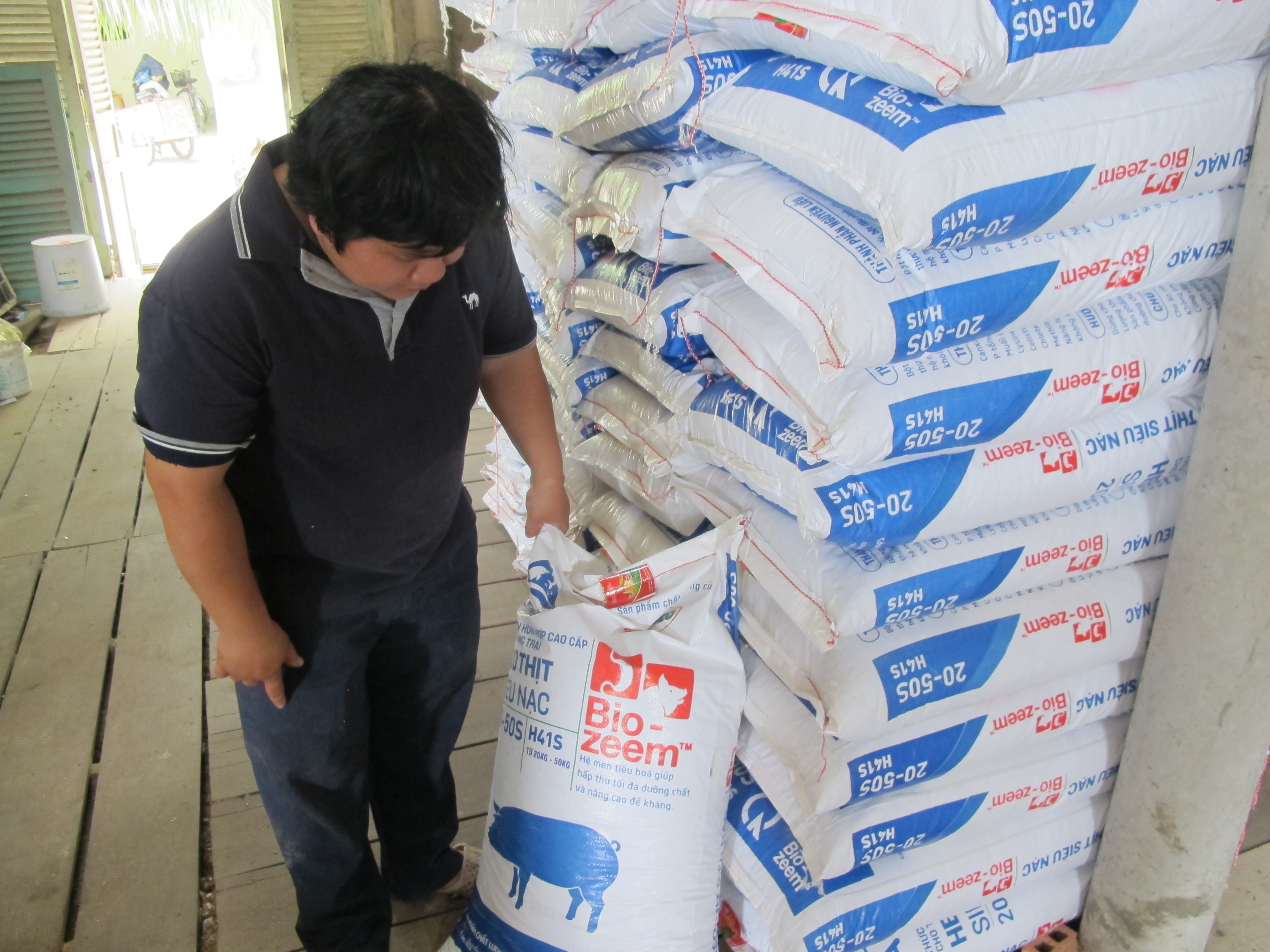 Thành
công của chị Phượng đến từ sự việc chú trọng vào vấn đề dinh dưỡng cho heo