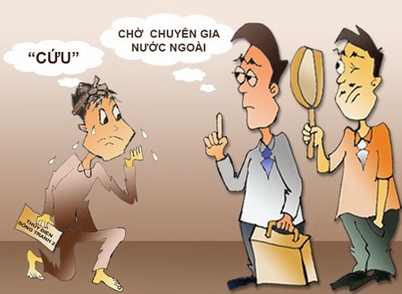  (Minh họa: Ngọc Diệp)