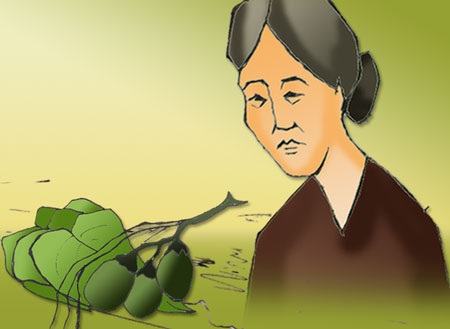 “Lòng nghe rụng trái cau hoa thuở nào…” - 1 “Lòng nghe rụng trái cau hoa thuở nào…”