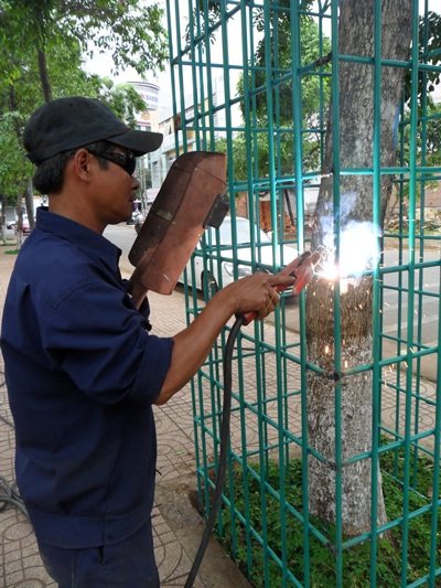 Hàn lồng sắt bảo vệ sưa trên đường Bà Triệu hồi tháng 6 vừa qua.