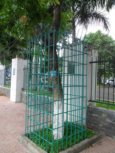 15 khung sắt bảo vệ sưa được đặt thêm ở các tuyến đường trên địa bàn TP Buôn Ma Thuột.