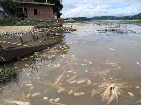 … và trên mặt nước.