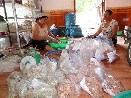 Những dụng cụ săn voi giúp “vua voi” Ama Kông săn được 298 con voi rừng. 