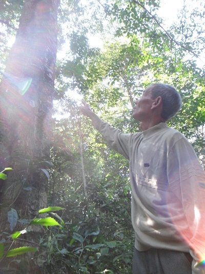 Già làng Y Yơh Kbuôr (73 tuổi) trong khu rừng nguyên sinh buôn Kmrơng Prong A