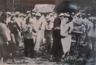 Bộ đội tình nguyện Việt