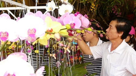 Nhiều người kỹ tính đã chọn lan từ bây giờ